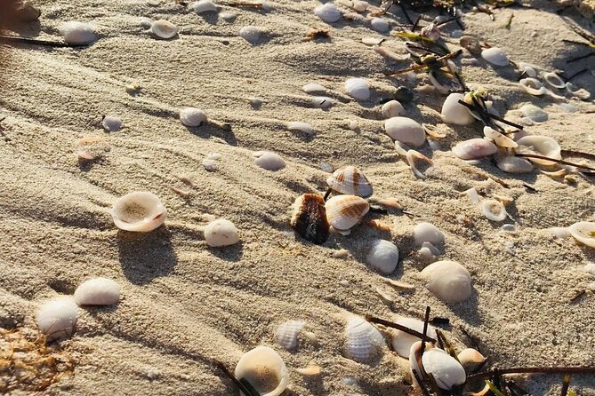 Holbox: Islas Pajaros, Yalahau & Isla de la Pasión with pick up - Key Points