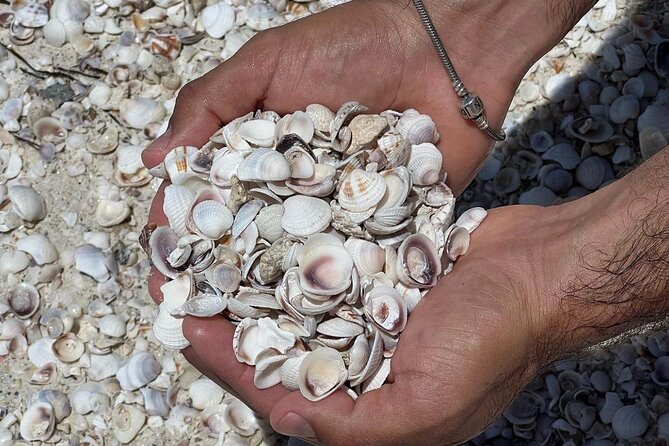 Holbox: Islas Pajaros, Yalahau & Isla de la Pasión with pick up - Who Will Love This Tour?