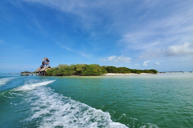 3 Islands tour Holbox. (yalahau, and more) - How the Experience Feels