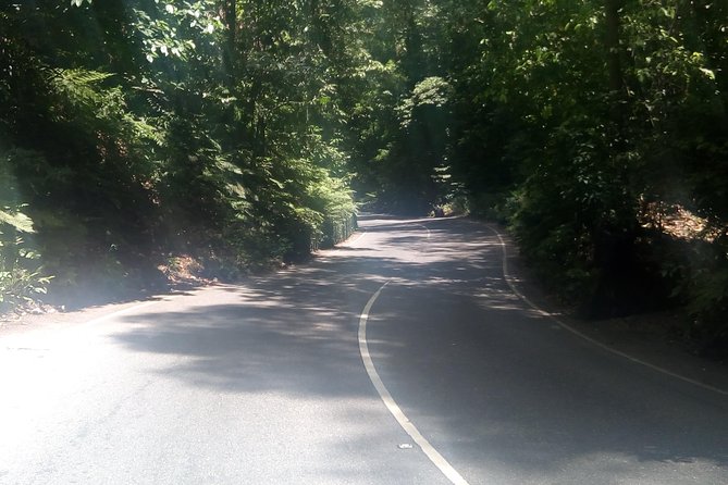 Dunn's River Falls and Fern Gully Highlight Adventure Tour from Runaway Bay - FAQ