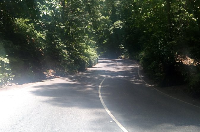 Dunn's River Falls and Fern Gully Highlight Adventure Tour from Runaway Bay - The Sum Up