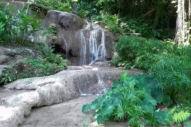 Konoko Falls and Tropical Garden Tour from Runaway Bay - A Detailed Look at the Tour Experience