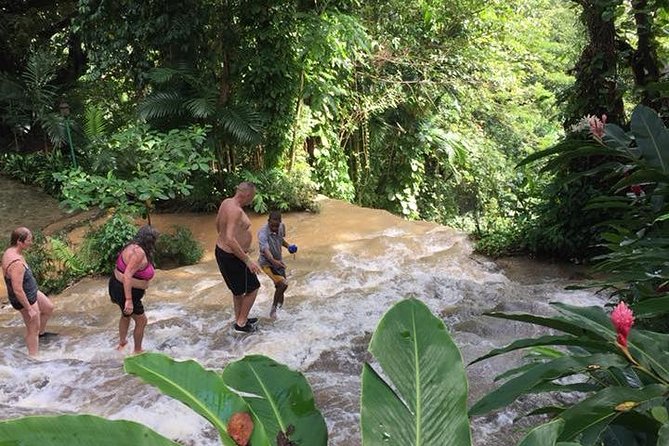 Konoko Falls and Tropical Garden Tour from Runaway Bay - Key Points