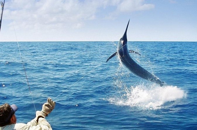 Deep Sea Fishing Ocho Rios - The Sum Up