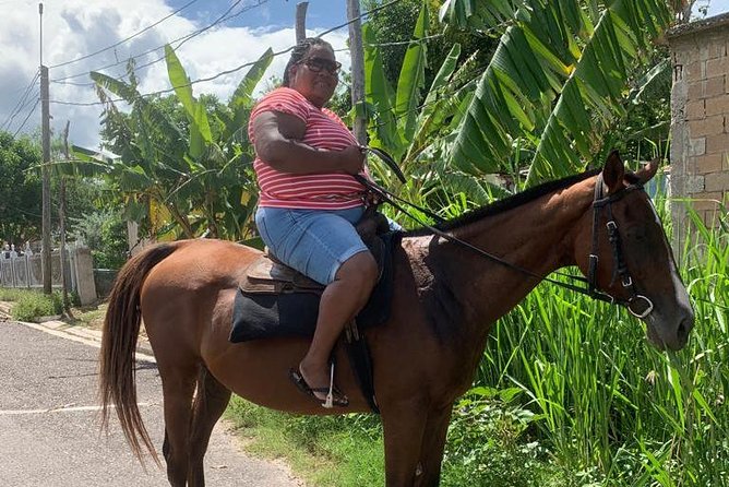 Hour Horseback Riding Guided Tour from Runaway Bay - Frequently Asked Questions (FAQ)