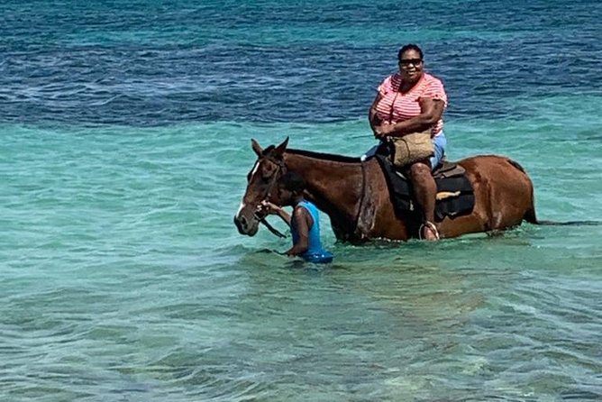 Hour Horseback Riding Guided Tour from Runaway Bay - Who Should Book This Tour?