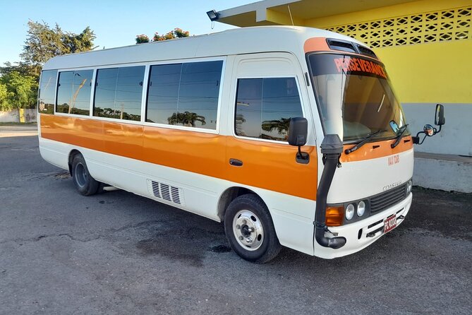White River Tubing and OchoRios Highlight View Scenic Fern Gully - The Experience of the Guides