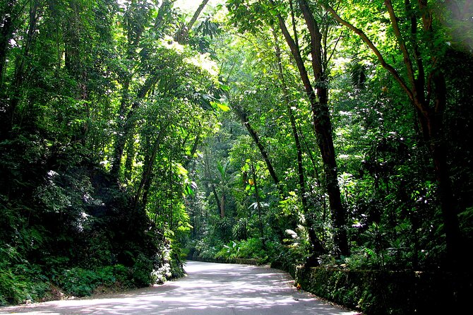 White River Tubing and OchoRios Highlight View Scenic Fern Gully - FAQs