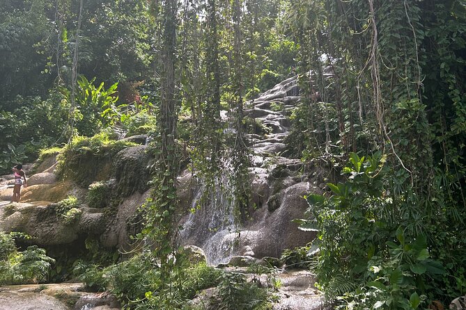 Dunns River Falls Mahogany Beach and Hilltop Lookout Tour - The Experience: What to Expect