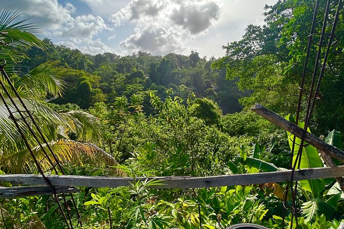 Dunns River Falls Mahogany Beach and Hilltop Lookout Tour - Who Would Love This Tour?