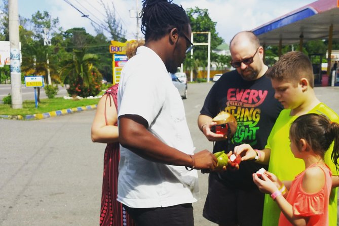 Kingston Day Tour with Bob Marley Museum Experience from Ocho Rios - Introduction: What to Expect on the Kingston Day Tour from Ocho Rios