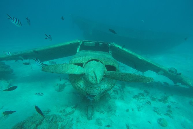 Small group snorkeling (5 people max): wrecks & tropical fishes at 1:00pm - The Sum Up