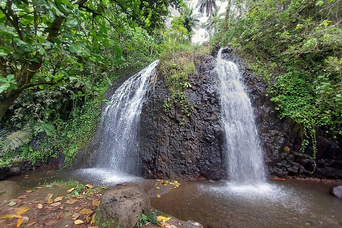 Tahiti Half Day Coastal Private Tour - Quick Overview: What Makes the Tahiti Half Day Coastal Private Tour Special