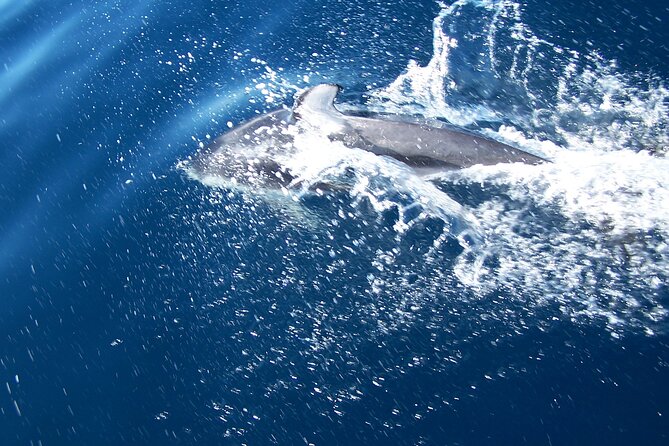 Sunset sailing trip on the Lagoon of Tahiti - Why This Tour Stands Out