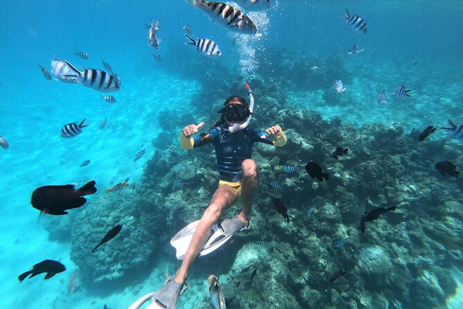 Snorkeling immersion in the wonders of Tahiti - Who Will Love This Tour?