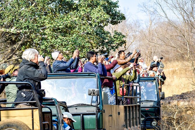 Sure Shot Tiger Viewing: Half-Day Panna National Park Jeep Safari - What You Can Expect From This Safari