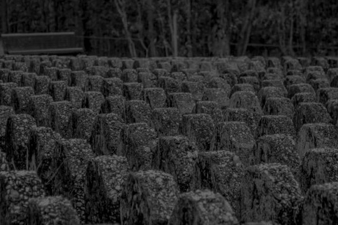 Goodna Cemetery Haunted History Tour - The Downsides: Things to Consider