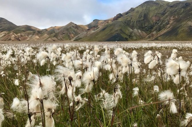 Landmannalaugar by Super Jeep - Who Would Enjoy This Tour?