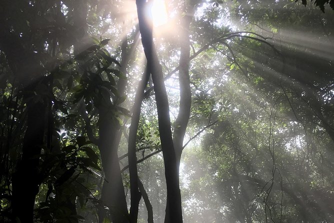 Private hike to active Izalco and Cerro Verde volcanoes. 2 volcanoes in one day! - FAQ