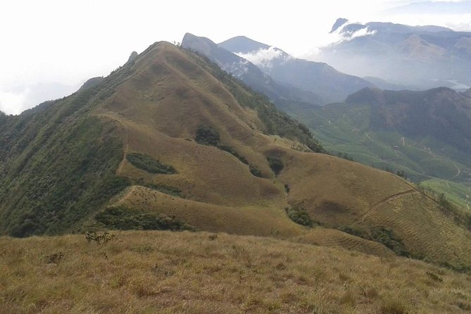 Meesapulimala Sunrise trek( By Munnar Info) - Who Should Book This Trek?