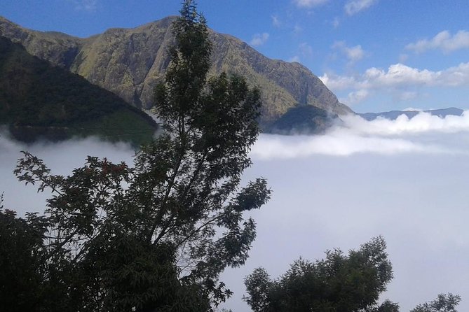 Meesapulimala Sunrise trek( By Munnar Info) - FAQ