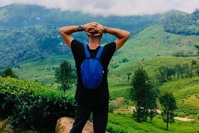 Munnar Tea Trail Tour , Tea factory visit & Tea Tasting - First Impressions of the Munnar Tea Trail Tour