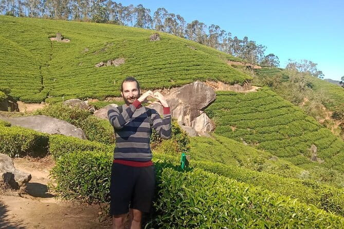 Munnar Tea Trail Tour , Tea factory visit & Tea Tasting - Who Is This Tour Best For?