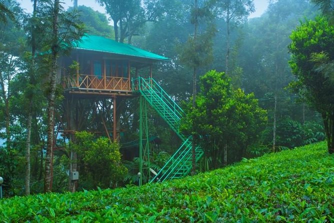 2 Nights Munnar Treehouse Escape with Private Car- Iris Holidays - Exploring the Munnar Tour in Detail
