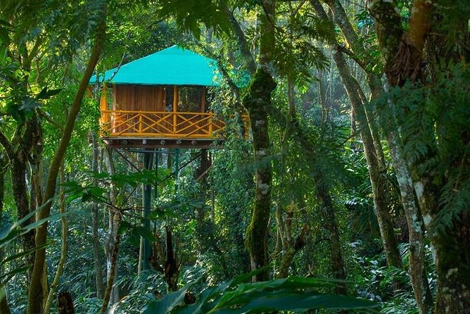 2 Nights Munnar Treehouse Escape with Private Car- Iris Holidays - Key Points