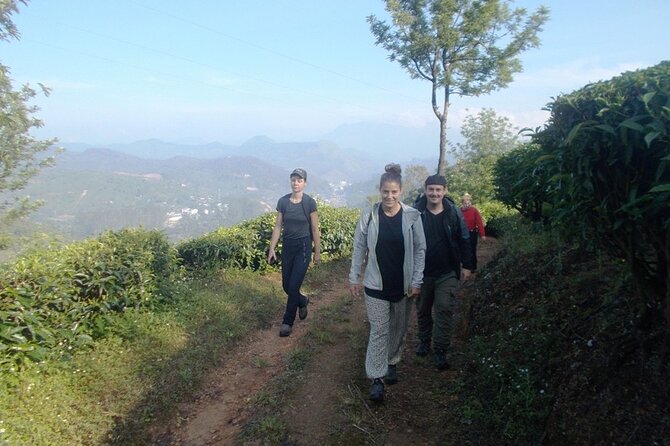 Full-Day Trekking in Kerala, India - The Sum Up: Is It Worth It?