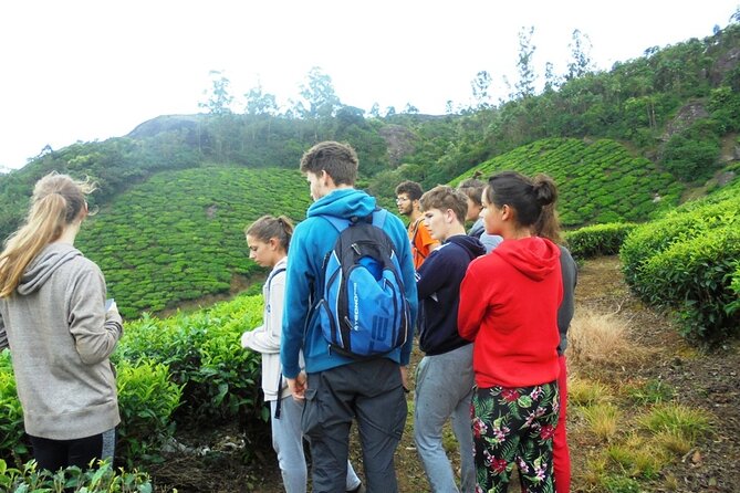 Full-Day Trekking in Kerala, India - Who Will Love This Tour?