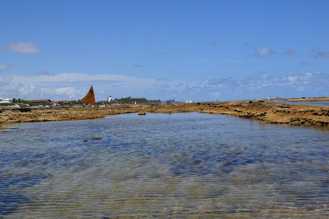 Private Transfer from Porto de Galinhas to Recife Airport - Key Points