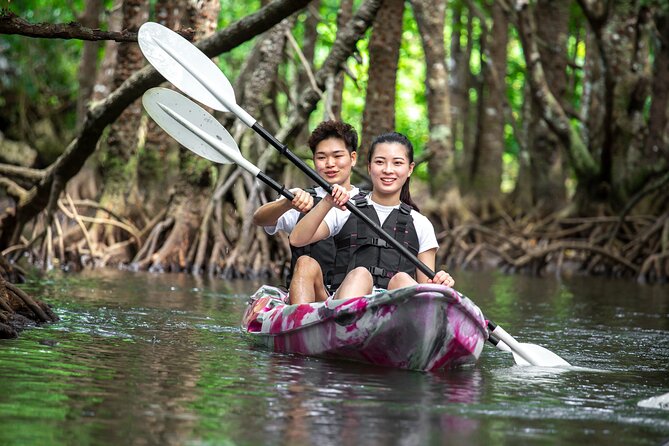 Ishigaki Mangrove Canoe / SUP & Taketomi Island Exploration - Who Should Consider This Tour?