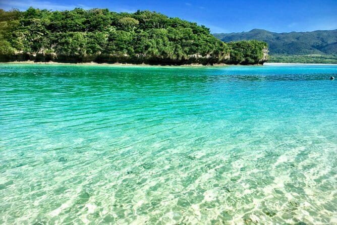 Distillation of Okinawa Herb Essential Oil and Herbal Water - Pricing and Value