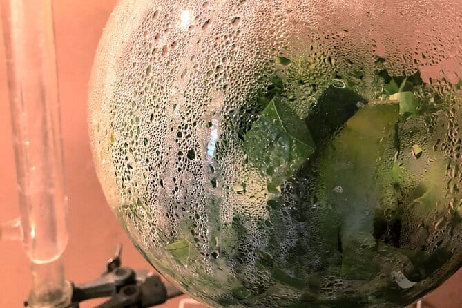 Distillation of Okinawa Herb Essential Oil and Herbal Water - Introducing the Okinawa Herb Essential Oil and Herbal Water Workshop