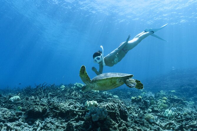 Private snorkeling tour Ishigaki island - The Itinerary in Detail