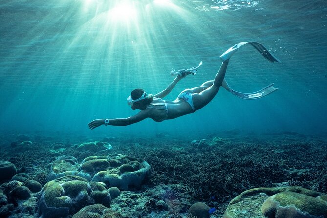 Private snorkeling tour Ishigaki island - Final Thoughts