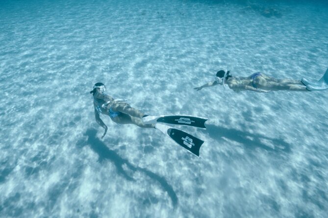 Private snorkeling tour Ishigaki island - What the Reviews Say