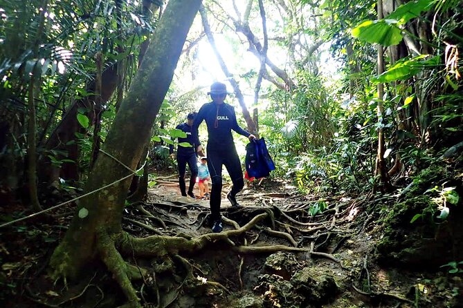 Discover Ishigaki's Hidden Treasures Snorkeling Tour at BlueCave - Who Should Consider This Tour?