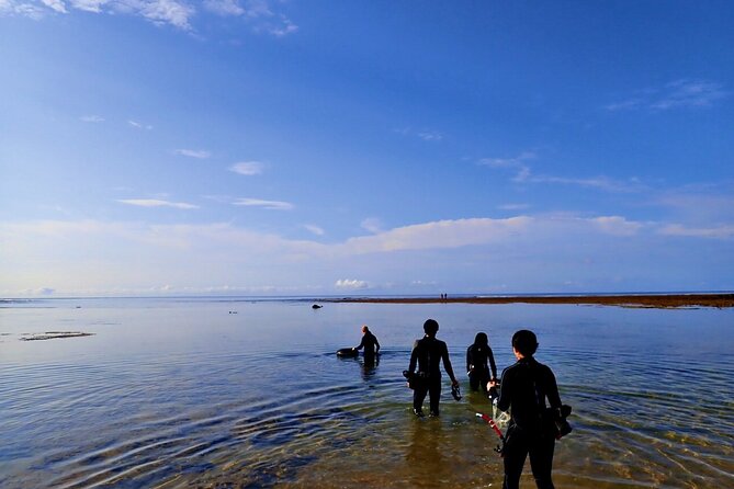 Discover Ishigaki's Hidden Treasures Snorkeling Tour at BlueCave - Final Thoughts: Is This Tour Worth It?