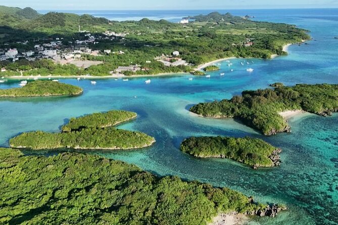 All-Inclusive Ishigaki Island Shore Excursion with English Guide - What’s Included & What’s Not