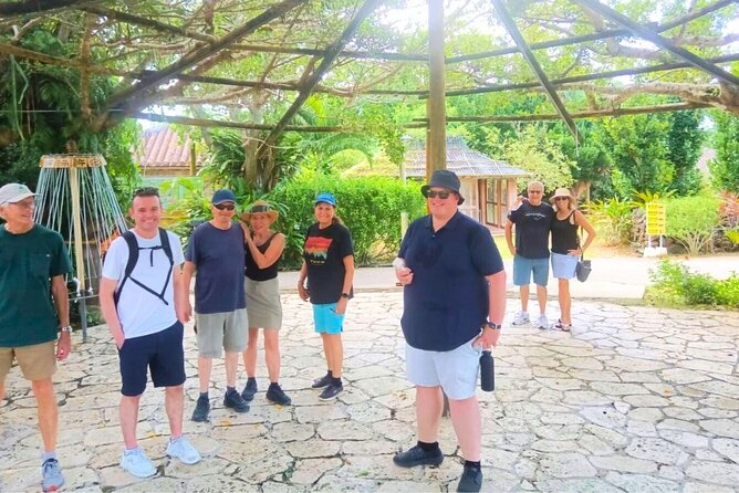 All-Inclusive Ishigaki Island Shore Excursion with English Guide - Transportation and Group Size