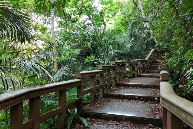 All-Inclusive Ishigaki Island Shore Excursion with English Guide - Authenticity & Insider Tips from Reviewers