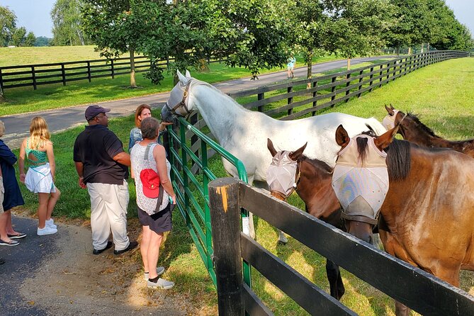 Full-Day Lexington Farm Tour with Clay Pigeon Shooting - A Deep Dive into the Lexington Farm Tour