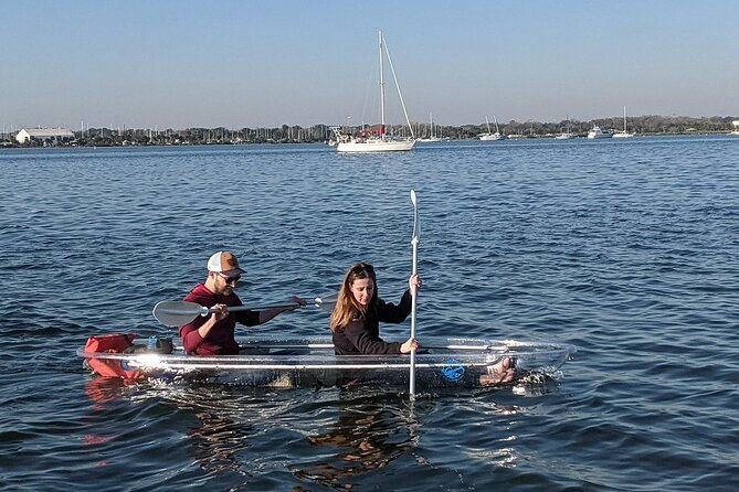 Dolphin and Manatee Clear Kayak or Paddleboard Tour - Key Points