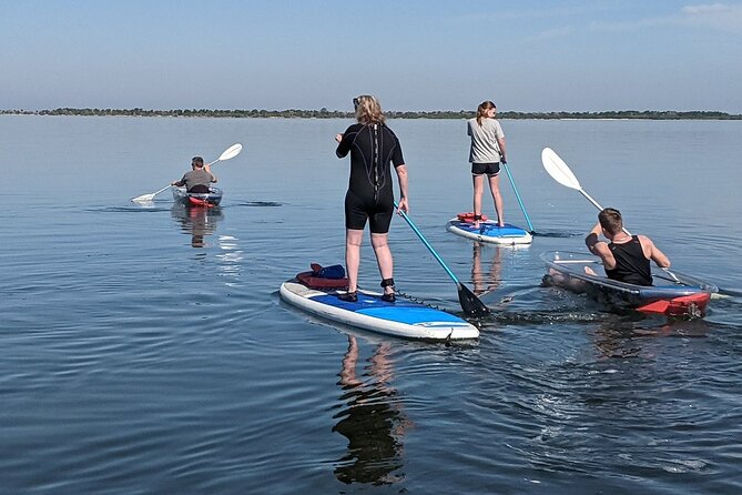 Dolphin and Manatee Clear Kayak or Paddleboard Tour - Who Should Consider This Tour?