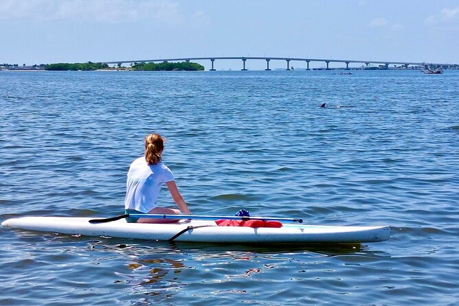 Dolphin and Manatee Clear Kayak or Paddleboard Tour - Detailed Itinerary Breakdown