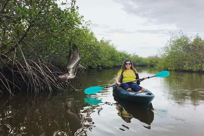 Thousand Island Mangrove Tunnel, Manatee & Dolphin Kayak Tour w/Cocoa Kayaking - The Itinerary: A Carefully Crafted Waterway Journey