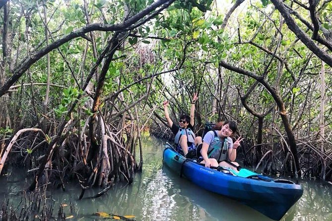 Thousand Island Mangrove Tunnel, Manatee & Dolphin Kayak Tour w/Cocoa Kayaking - Equipment and Comfort
