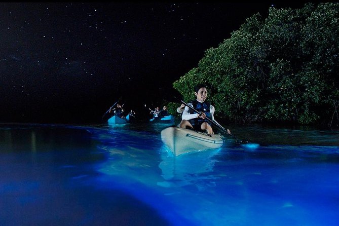 Bioluminescence Night Kayaking Tour of Merritt Island Wildlife Refuge - Authentic Feedback from Travelers